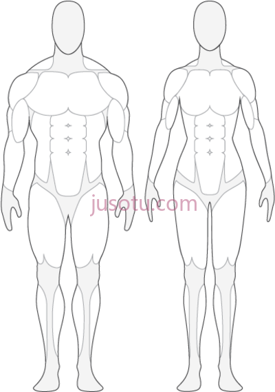 人体前后,human body front and back outline PNG
