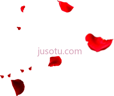 玫瑰花瓣飘落,rose flower petals falling PNG