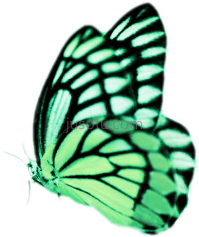 蝴蝶,real butterflies butterfly jade: friendly book PNG