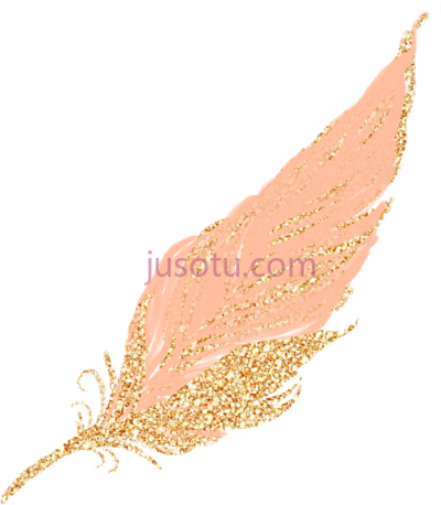 粉金色羽毛,feathers pastel golden gold rosegold glitter PNG