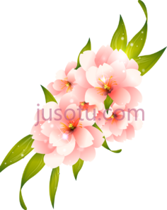 粉红花, PNG