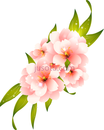 粉红花,pink flower PNG