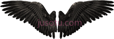 翅膀,wings fantasy PNG