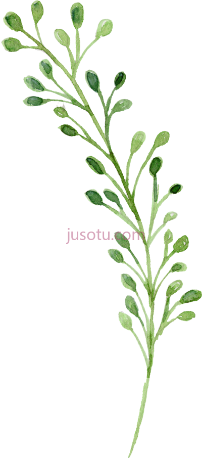 绿色水彩,watercolor green PNG