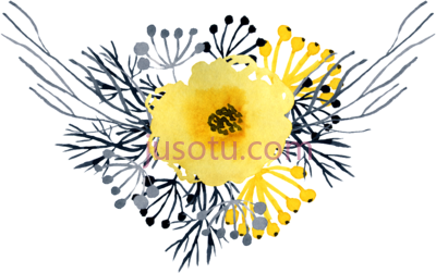 黄色水彩花,this watercolor yellow flower PNG
