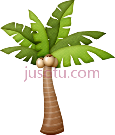 树叶棕榈树PNG