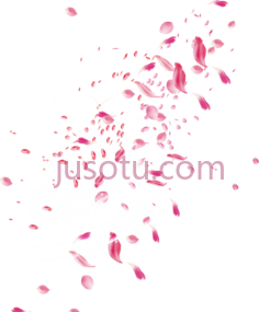 花卉粉红玫瑰花瓣飘落,gambar bunga untuk PNG