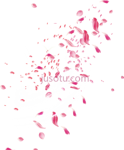 花卉粉红玫瑰花瓣飘落,pink rose petal falling PNG