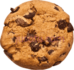 饼干PNG