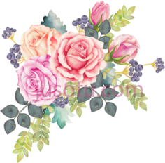 水彩花卉玫瑰,floral wreath PNG