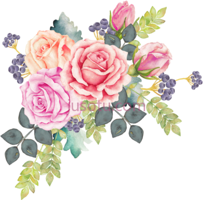 水彩花卉玫瑰,watercolour flowers watercolor painting rose art PNG