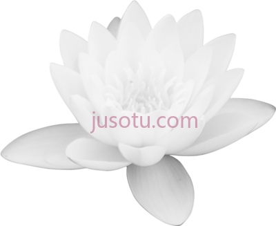 莲花,lotus flower library PNG