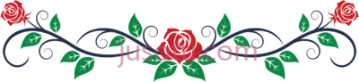 玫瑰,flower divider rose border black and white PNG