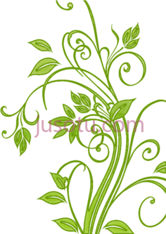 漩涡,花 PNG