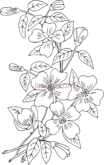 刺绣,hand embroidery PNG