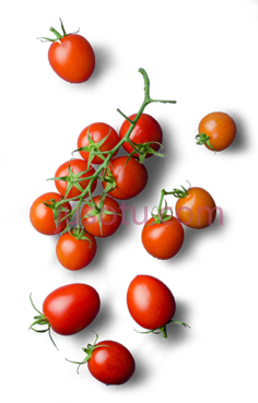 番茄PNG