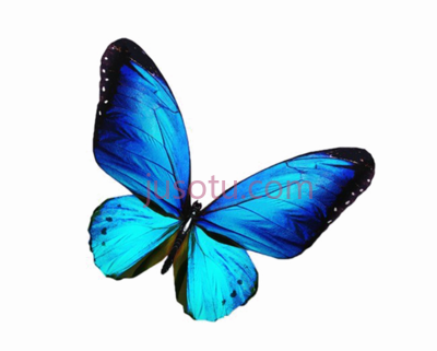 蓝色蝴蝶,blue butterfly porteurs d'espoir by diane gagnon PNG