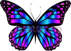 蓝紫色蝴蝶PNG