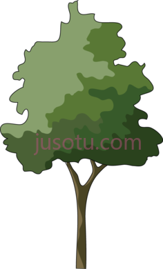 日本枫树,trees in elevation PNG