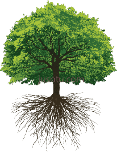 树木,great oak roots thoughts on save trees PNG