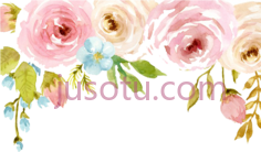 水彩花, PNG