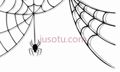 万圣节蜘蛛网,halloween spider web PNG