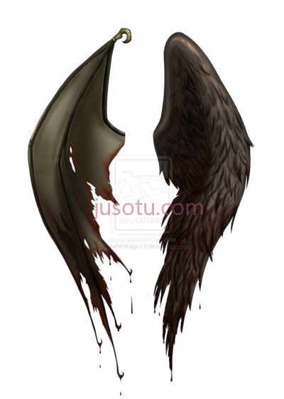 天使之翼,half wings file angel and demon PNG