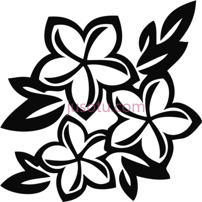 黑白花,flower sampaguita black and white PNG
