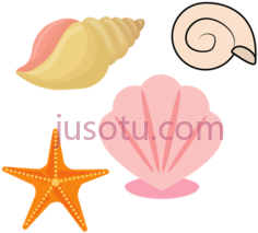 海贝壳PNG