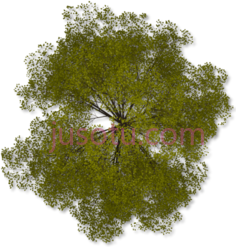 树顶PNG
