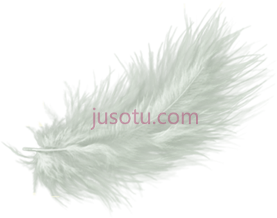 白色羽毛,white feather art PNG