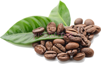 咖啡豆,home dramanti coffee beans PNG