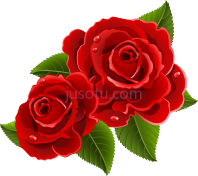 红玫瑰,beautiful red rose flowers PNG