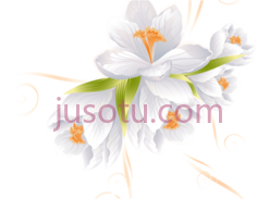 白花PNG