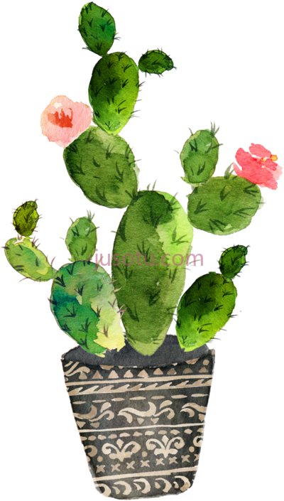 仙人掌,cactaceae painting succulent plant PNG