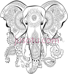 曼荼罗,花 PNG