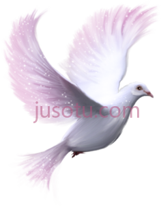 白鸽PNG