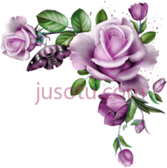 紫色玫瑰角PNG