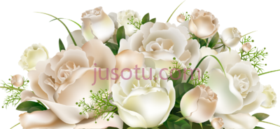 白玫瑰束,white rose bunch PNG