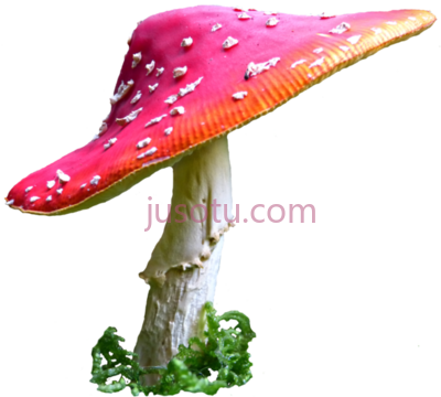 爱丽丝梦游仙境蘑菇,alice in wonderland mushroom art PNG