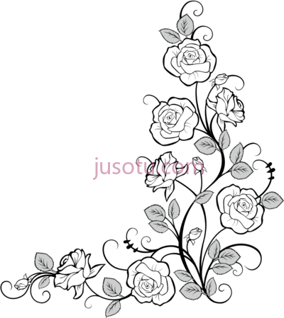 框角边玫瑰,frames corners borders roses PNG