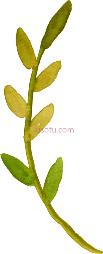 花艺,fall floral art so pretty PNG