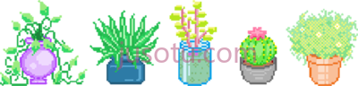 多汁植物,art ation succulent plant PNG