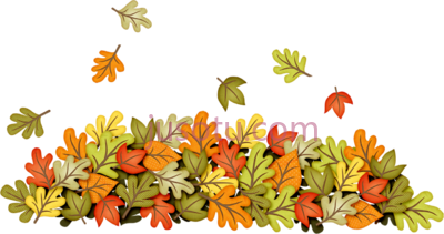 秋叶秋季,autumn leaf color tree fall art PNG