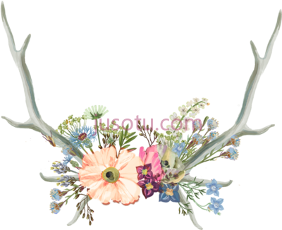 鹿角花,deer flower crown fawn ears antler PNG