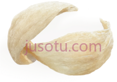 碗形燕窝PNG