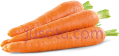 胡萝卜PNG