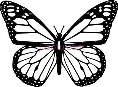 黑白蝴蝶,butterfly black and white PNG