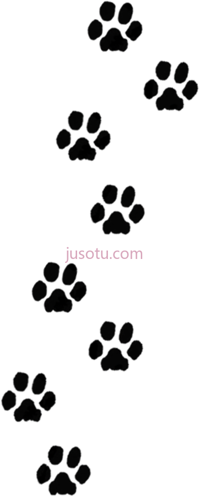 狗爪印,dog paw prints PNG