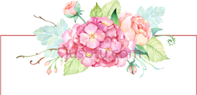 水彩花,watercolor banner flowers PNG